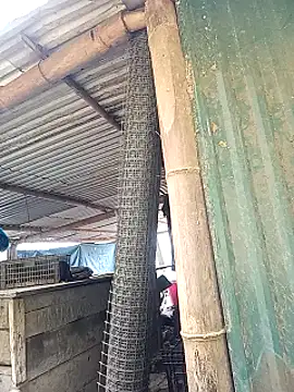 sary-hot2x online show from 03/01/26, 03:50