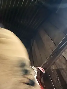 sary-hot2x online show from 01/09/26, 12:01