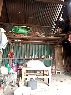 Snapshot of sary-hot2x chatting on 03/26/26, 05:17 sary-hot2x online show from 03/26/26, 05:17