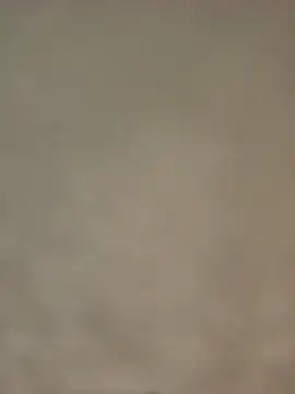 Bigkannan online show from 01/12/26, 08:43