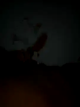 Pascarbo 00 online show from 12/19/25, 02:04