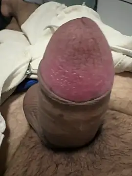 picachux online show from 04/26/26, 08:17
