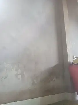 mon-monk online show from 12/20/25, 02:36