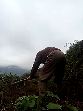 Snapshot of mon-monk chatting on 12/17/25, 01:10 mon-monk online show from 12/17/25, 01:10