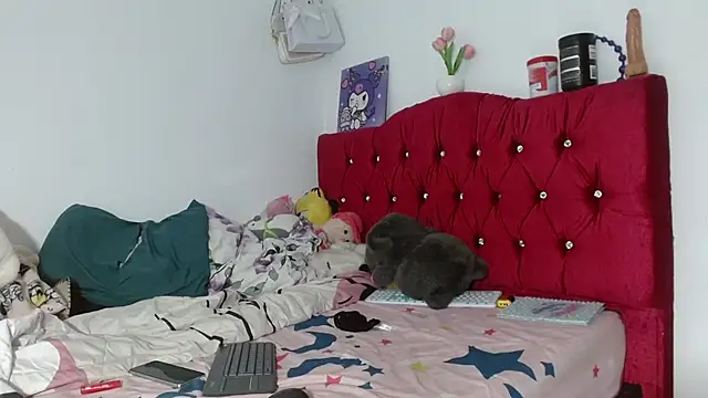 Snapshot of Alisson_Very_Dirty chatting on 12/18/25, 02:43 Alisson Very Dirty online show from 12/18/25, 02:43