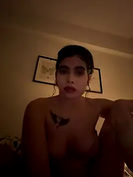 Wailsaa sdf online show from 12/17/25, 08:14