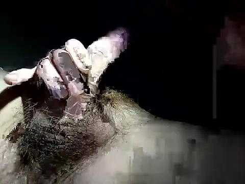 Snapshot of Andpnsote chatting on 12/18/25, 10:30 Andpnsote online show from 12/18/25, 10:30