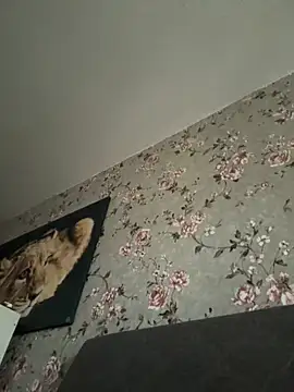 Alexmarcov online show from 04/19/26, 04:52