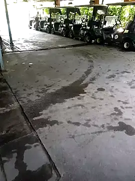 Ynotsz online show from 12/23/25, 09:19