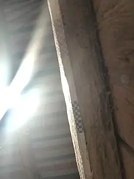 bae-asian online show from 04/08/26, 09:49