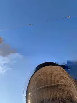 Big German cock974 online show from 12/21/25, 01:46