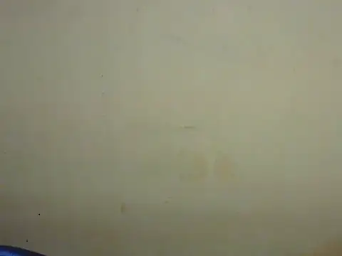 Exotic tanvi online show from 02/19/26, 04:15