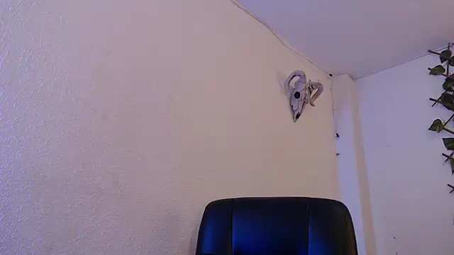 kingdani hot online show from 12/20/25, 03:20