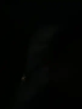 sofia-bae online show from 04/01/26, 01:30