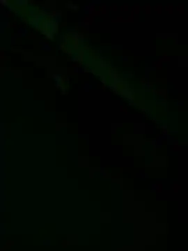 zoodangermind online show from 05/17/26, 12:10