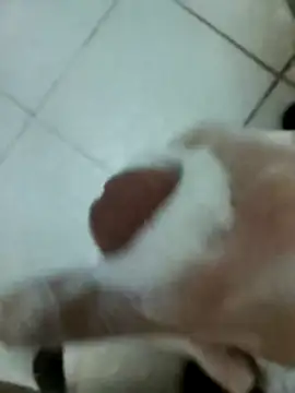 Amoooooun online show from 12/17/25, 09:14