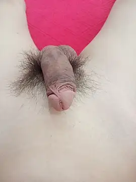 doanvandien online show from 04/11/26, 07:56