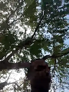 Snapshot of Andreskelly chatting on 03/17/26, 03:15 Andreskelly online show from 03/17/26, 03:15