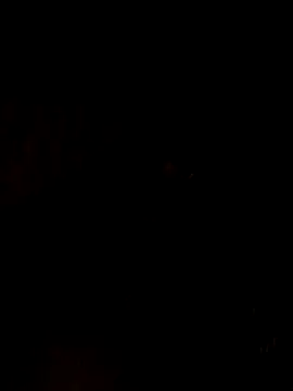 nehakapoor89 online show from 12/14/25, 07:41