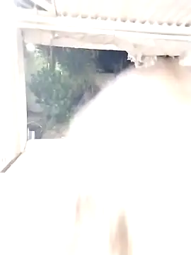 SexyAssQueenX online show from 01/14/26, 02:15