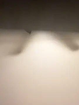 Lassie Cassie online show from 02/03/26, 05:05