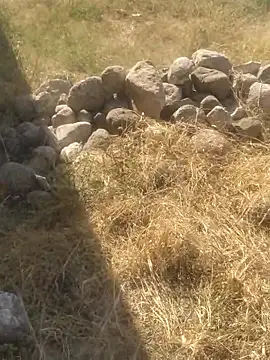 DanielGr27 online show from 12/20/25, 07:06