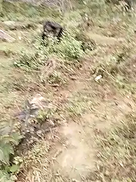 neko-nancy online show from 01/07/26, 07:57