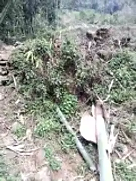 neko-nancy online show from 02/26/26, 07:08