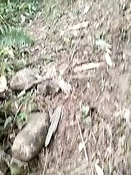 neko-nancy online show from 01/14/26, 03:10