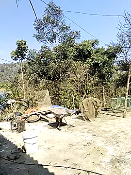 neko-nancy online show from 02/16/26, 07:07