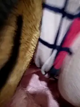 Kahbaocha online show from 02/19/26, 07:33