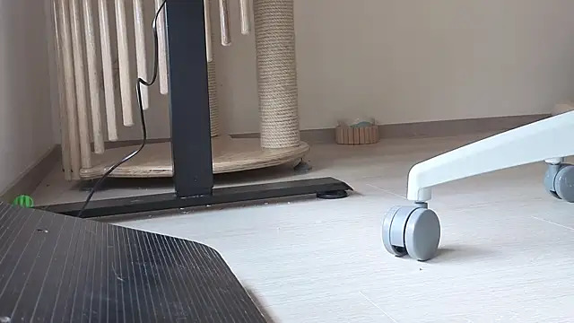 Feetbeth online show from 02/06/26, 07:21