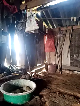 little-effy online show from 03/23/26, 01:06