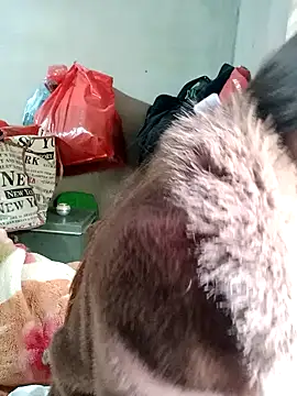 little-effy online show from 02/17/26, 03:04