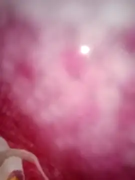 Snapshot of kusbu0077 chatting on 02/19/26, 08:00 kusbu0077 online show from 02/19/26, 08:00