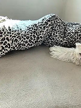 Snapshot of tenifer chatting on 12/15/25, 09:26 tenifer online show from 12/15/25, 09:26