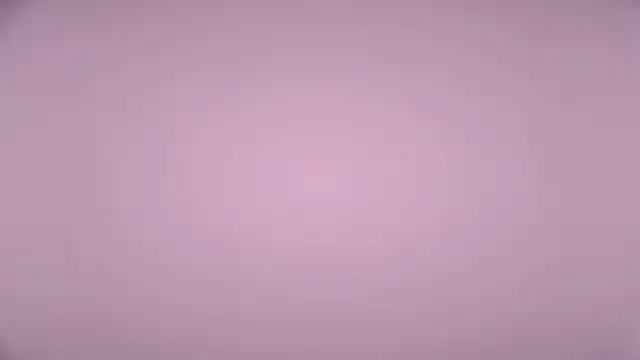 LexiMoss online show from 04/17/26, 02:09