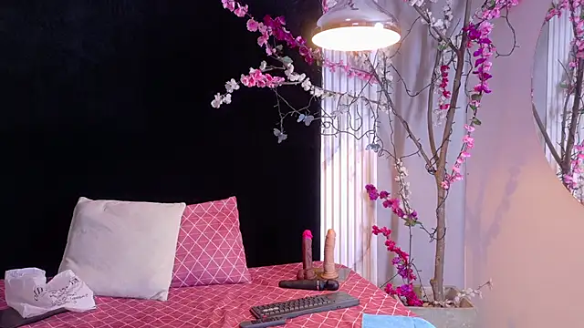 bella moonlight cr online show from 03/11/26, 03:22