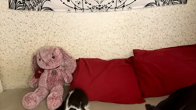 Shining Robi online show from 12/18/25, 12:09