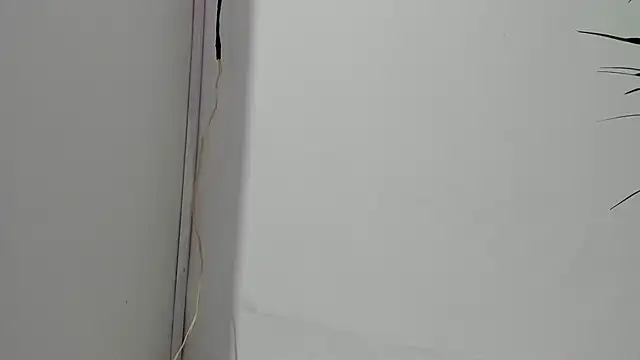 sebastamayo  online show from 02/26/26, 05:07