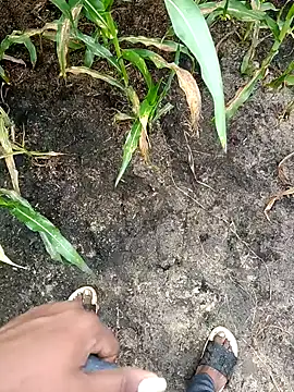 Snapshot of loki-king-143 chatting on 02/24/26, 04:02 loki-king-143 online show from 02/24/26, 04:02