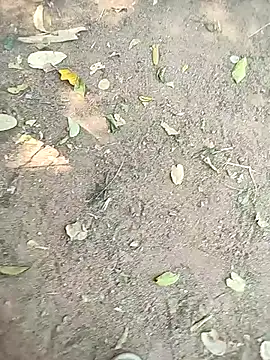 Snapshot of loki-king-143 chatting on 01/13/26, 05:55 loki-king-143 online show from 01/13/26, 05:55