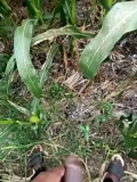 Snapshot of loki-king-143 chatting on 03/09/26, 09:46 loki-king-143 online show from 03/09/26, 09:46