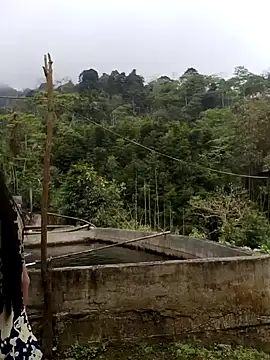  CTMay 77 online show from 04/01/26, 04:03