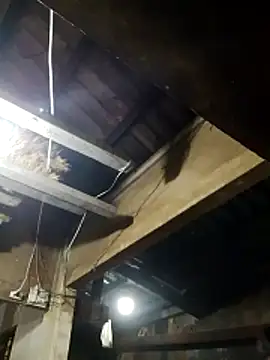  CTMay 77 online show from 03/21/26, 12:31