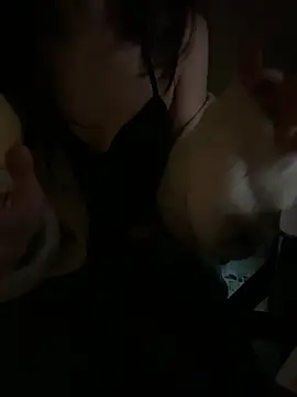 ddbb0000 online show from 02/17/26, 06:38