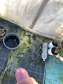 marcoboss online show from 01/14/26, 01:48