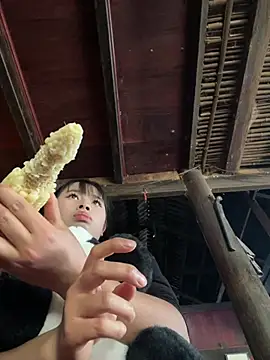 Nika-be online show from 02/26/26, 04:12