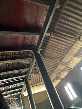 Nika-be online show from 03/03/26, 04:19