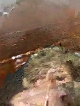 katiyvy online show from 02/16/26, 07:12